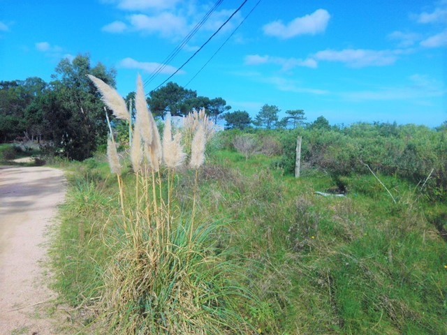 Lindo terreno en segunda linea de mar en Balneario Buenos Aires